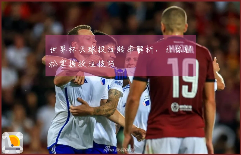 世界杯买球投注赔率解析，让你轻松掌握投注技巧
