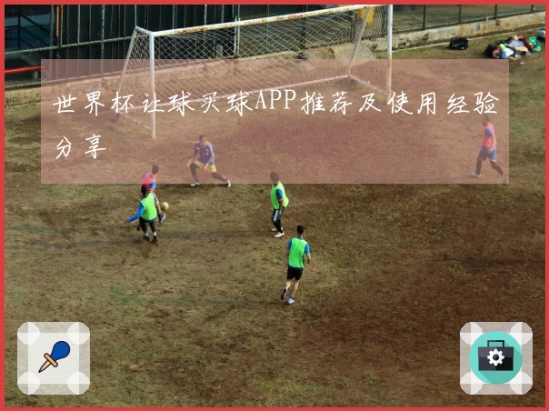 世界杯让球买球APP推荐及使用经验分享