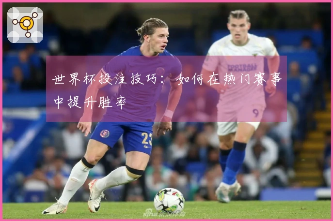 世界杯投注技巧：如何在热门赛事中提升胜率
