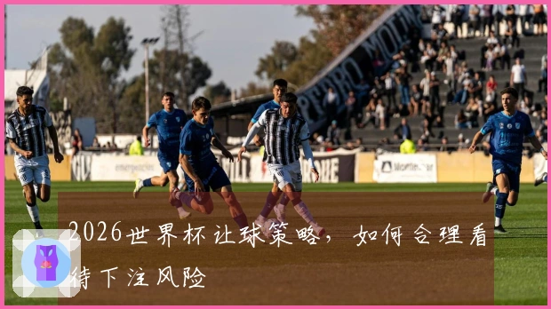 2026世界杯让球策略，如何合理看待下注风险