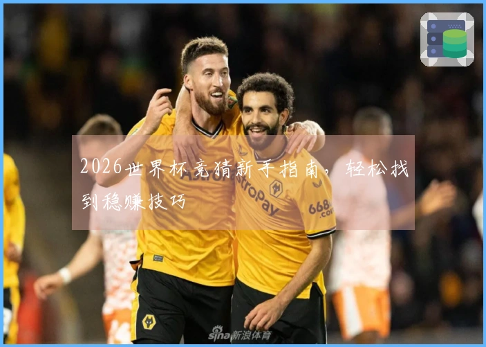2026世界杯竞猜新手指南，轻松找到稳赚技巧