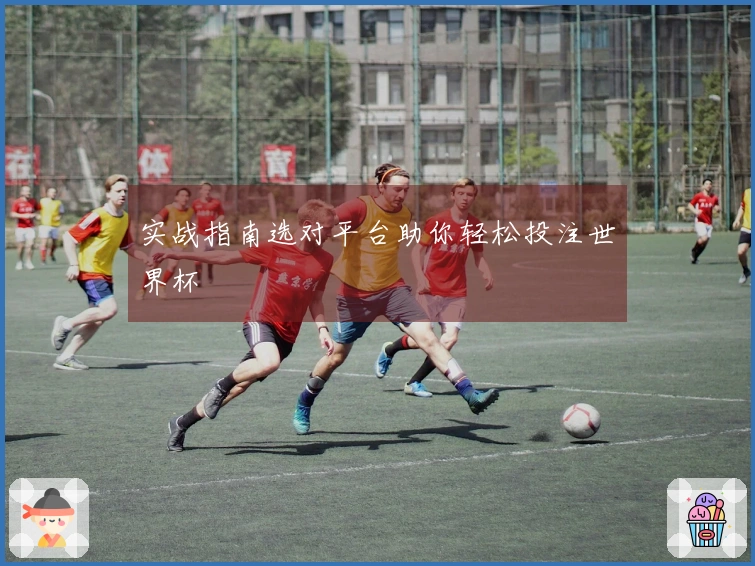实战指南选对平台助你轻松投注世界杯