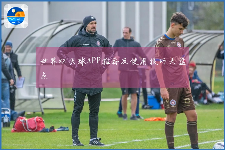 世界杯买球APP推荐及使用技巧大盘点