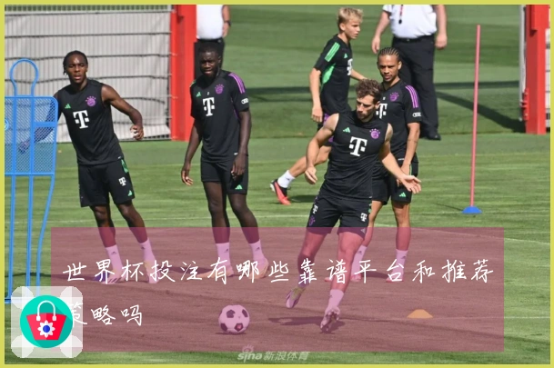 世界杯投注有哪些靠谱平台和推荐策略吗