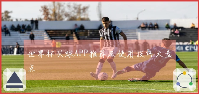 世界杯买球APP推荐及使用技巧大盘点