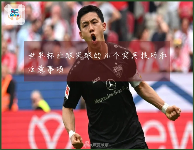 世界杯让球买球的几个实用技巧和注意事项