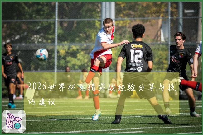 2026世界杯竞猜实战经验分享与技巧建议