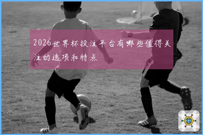 2026世界杯投注平台有哪些值得关注的选项和特点